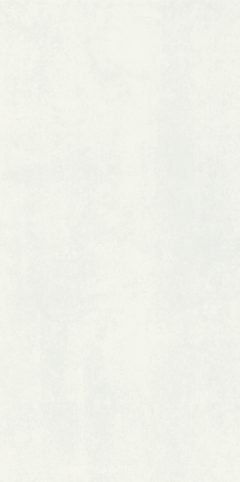 Rüppel 4Home Fliese Rapid beige Naturkante 30 x 60 cm x 8 mm