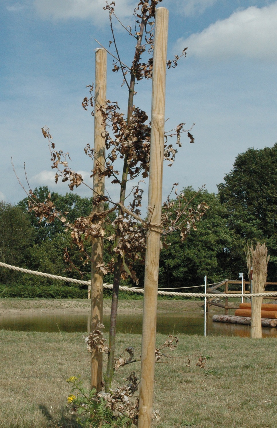 Baum- und Zaunpfahl gespitzt KDI grün d= 8cm, 1,5m
